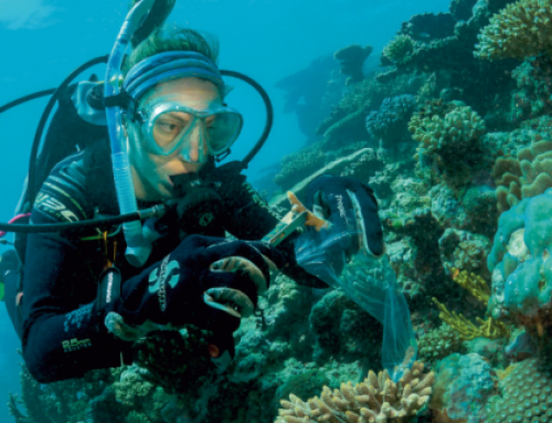 -Dr. Emma Camp: Transforms Great Barrier Reef  Marine Biologist